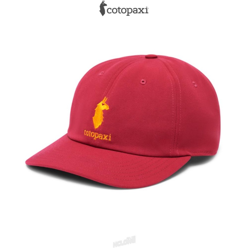 Cotopaxi Cotopaxi Dad Hat Raspberry | YZ77-U3-TA