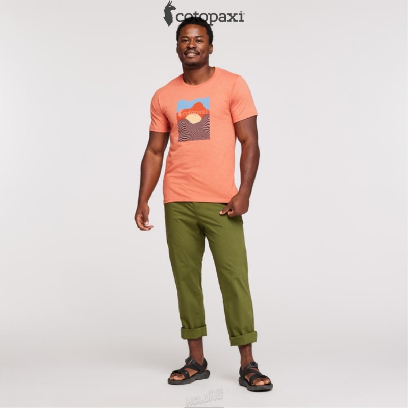 Cotopaxi Cotopaxi Vibe T-Shirt Nectar | NU74-F1-KS