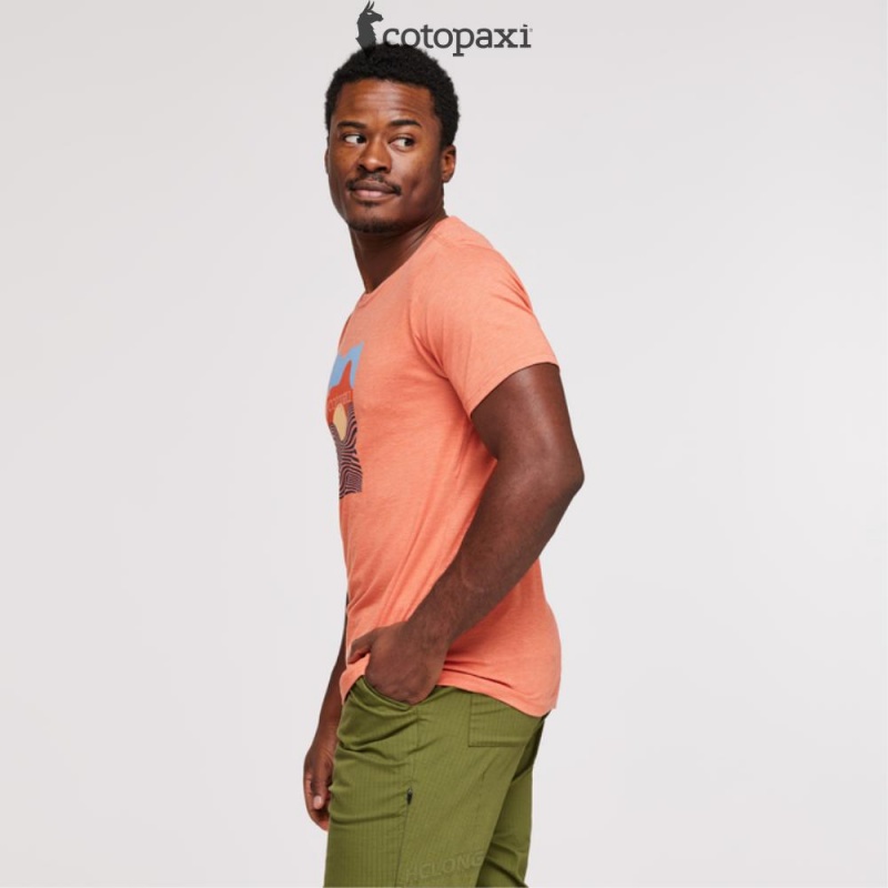 Cotopaxi Cotopaxi Vibe T-Shirt Nectar | NU74-F1-KS