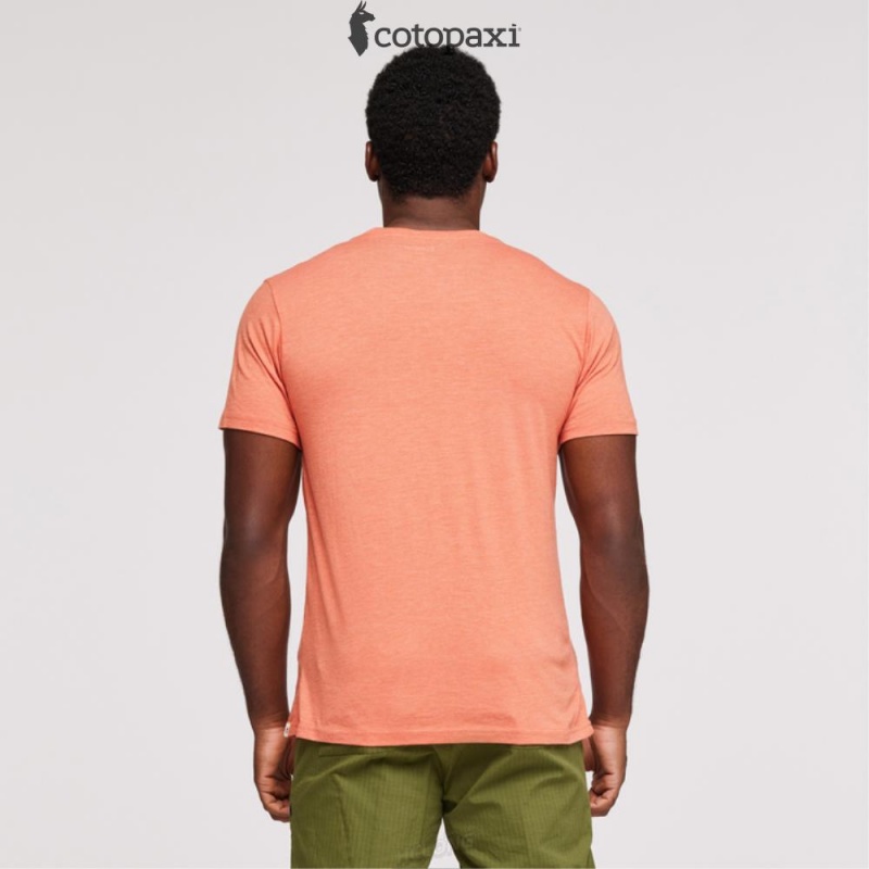 Cotopaxi Cotopaxi Vibe T-Shirt Nectar | NU74-F1-KS