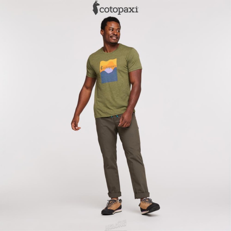 Cotopaxi Cotopaxi Vibe T-Shirt Pine | CR75-B4-DS