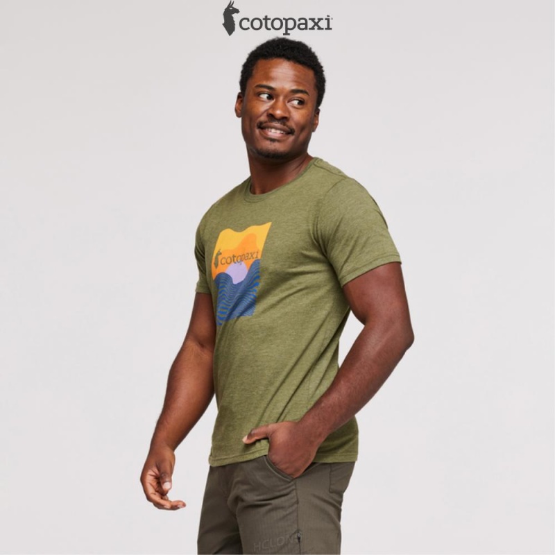 Cotopaxi Cotopaxi Vibe T-Shirt Pine | CR75-B4-DS