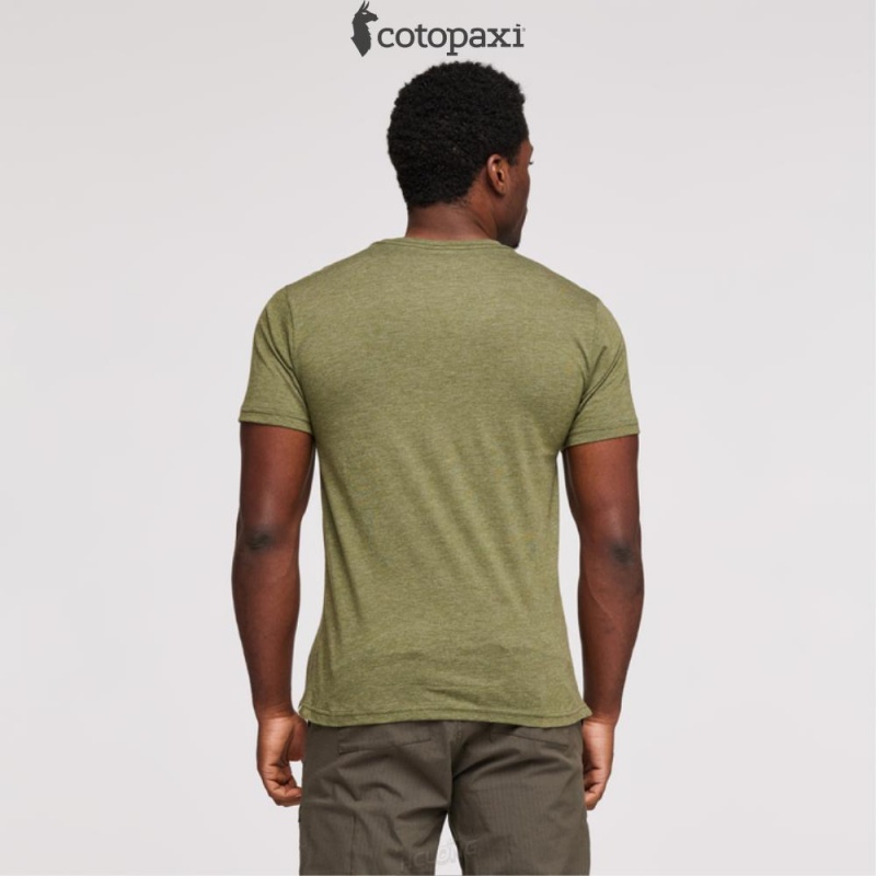 Cotopaxi Cotopaxi Vibe T-Shirt Pine | CR75-B4-DS