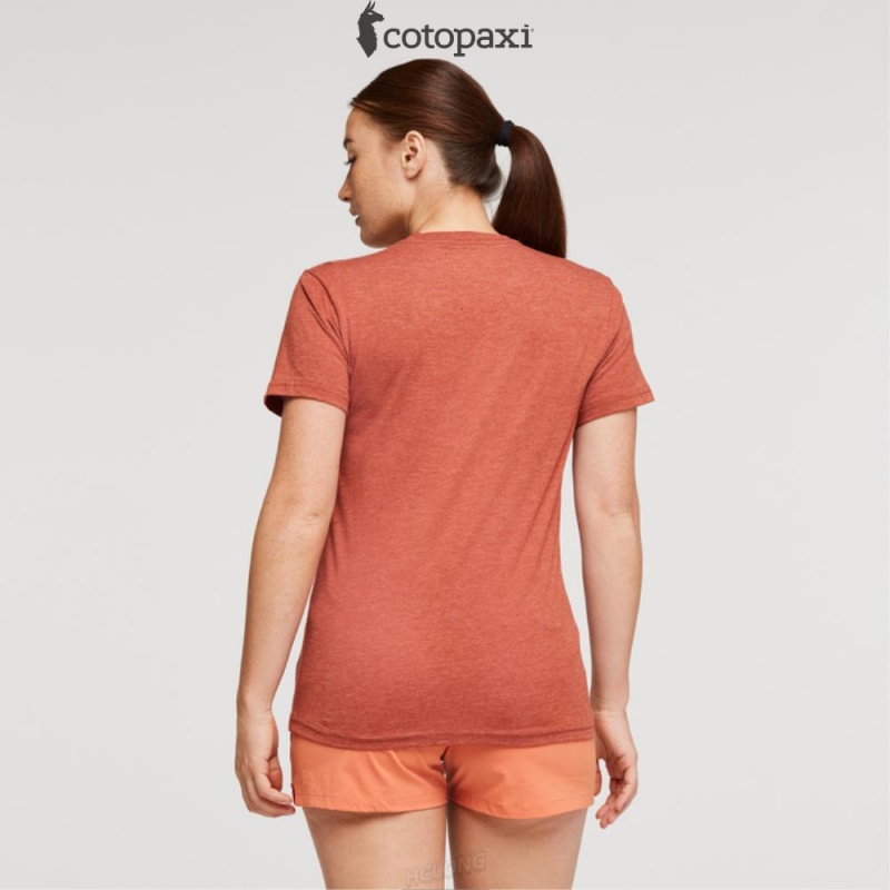 Cotopaxi Cotopaxi Vibe T-Shirt Spice | BV79-Q9-DA