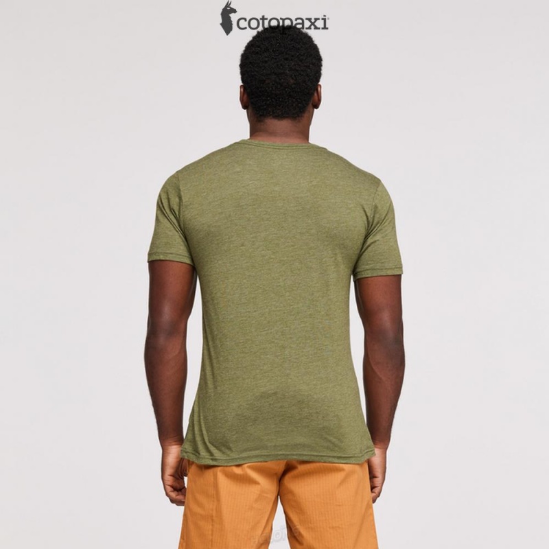 Cotopaxi Day and Night T-Shirt Pine | BF75-F8-YN