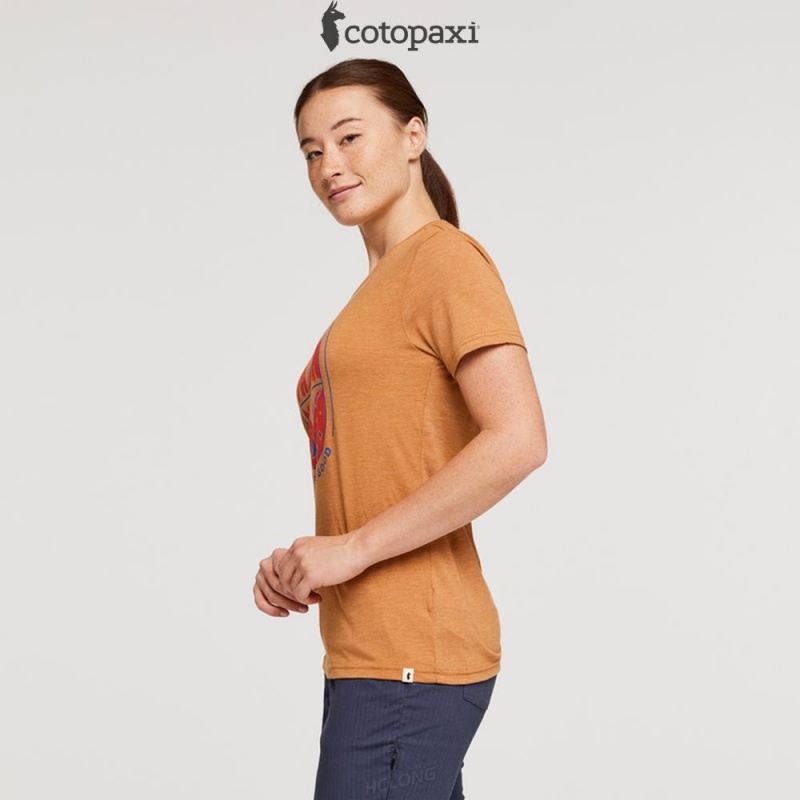 Cotopaxi Day and Night T-Shirt Saddle | ND11-J1-MY