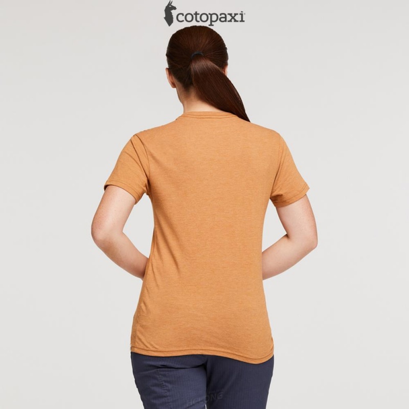 Cotopaxi Day and Night T-Shirt Saddle | ND11-J1-MY