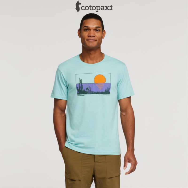 Cotopaxi Desert View T-Shirt Bone | DN53-X2-DP