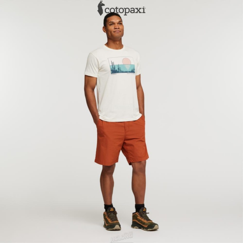 Cotopaxi Desert View T-Shirt Bone | XR89-Z7-BY