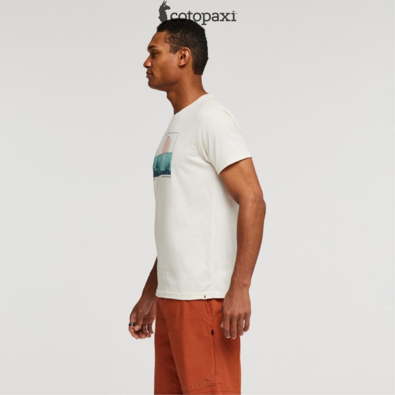 Cotopaxi Desert View T-Shirt Bone | XR89-Z7-BY