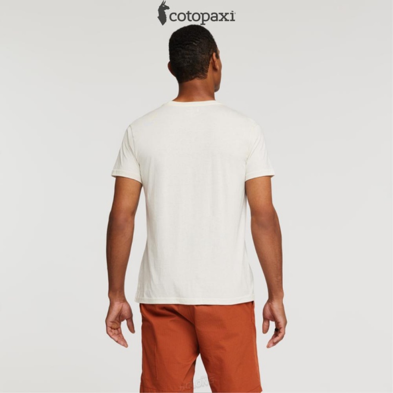 Cotopaxi Desert View T-Shirt Bone | XR89-Z7-BY