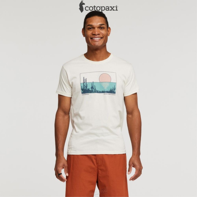 Cotopaxi Desert View T-Shirt Bone | XR89-Z7-BY