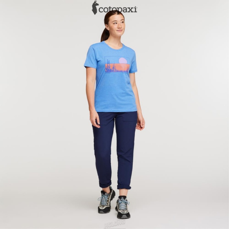 Cotopaxi Desert View T-Shirt Lupine | GS53-S3-WG