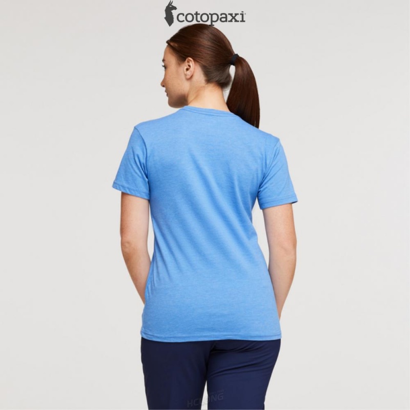 Cotopaxi Desert View T-Shirt Lupine | GS53-S3-WG