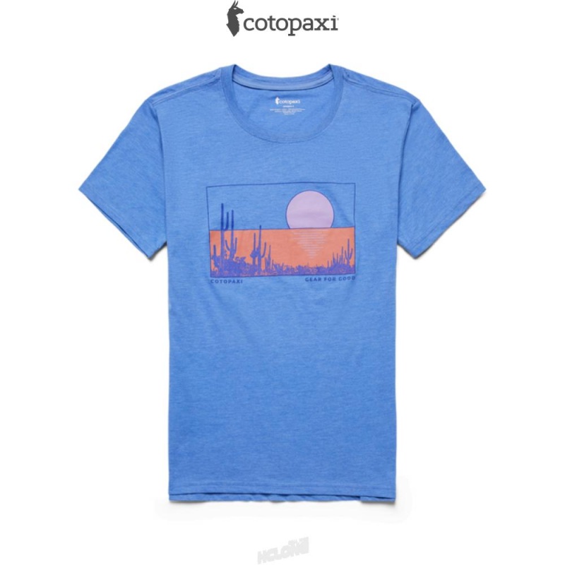 Cotopaxi Desert View T-Shirt Lupine | GS53-S3-WG