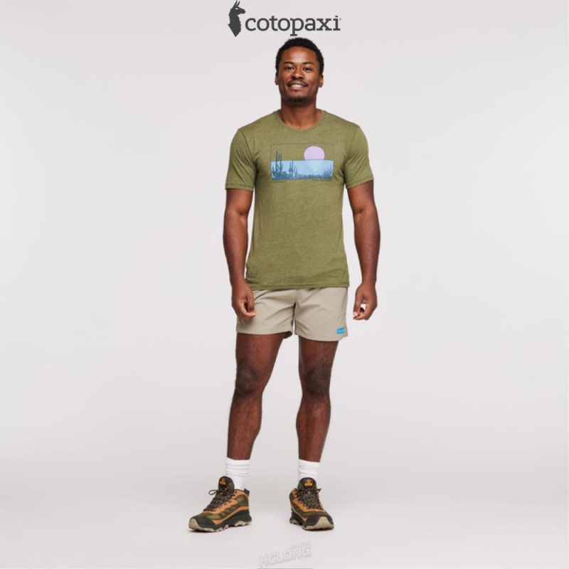 Cotopaxi Desert View T-Shirt Pine | OS21-T4-WL