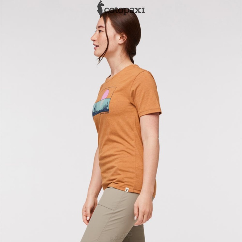 Cotopaxi Desert View T-Shirt Saddle | GK75-U9-AU