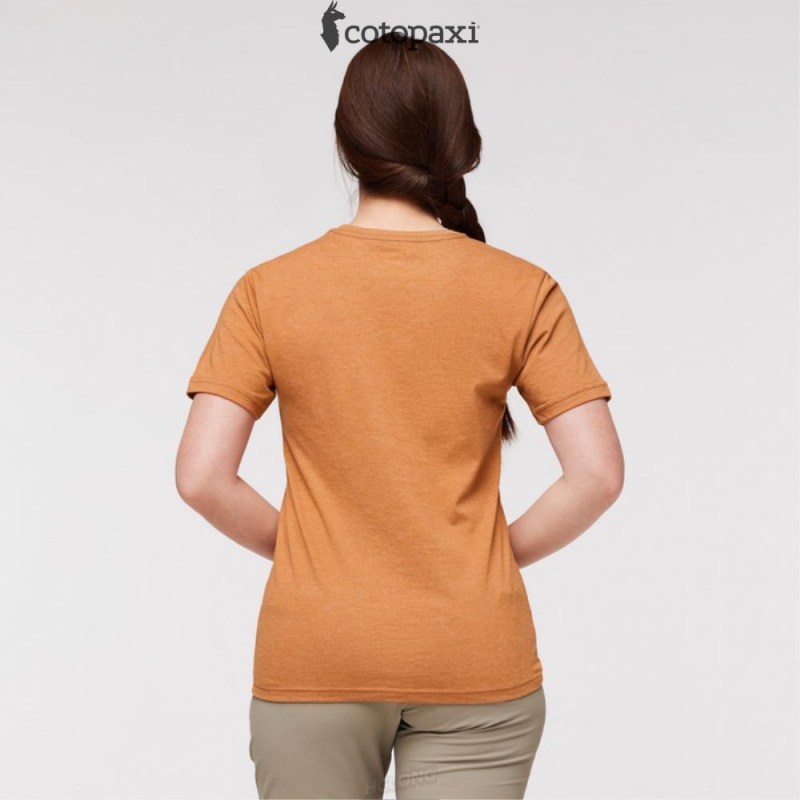 Cotopaxi Desert View T-Shirt Saddle | GK75-U9-AU