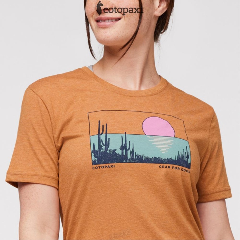 Cotopaxi Desert View T-Shirt Saddle | GK75-U9-AU