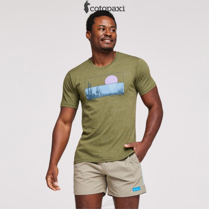 Cotopaxi Desert View T-Shirt Sea Glass | TB19-Y2-DP