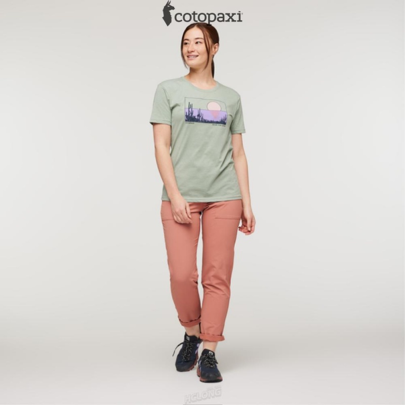 Cotopaxi Desert View T-Shirt Silver Leaf | WM98-V9-XW