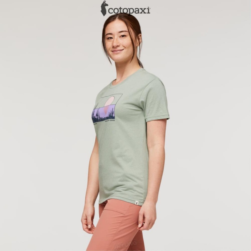 Cotopaxi Desert View T-Shirt Silver Leaf | WM98-V9-XW