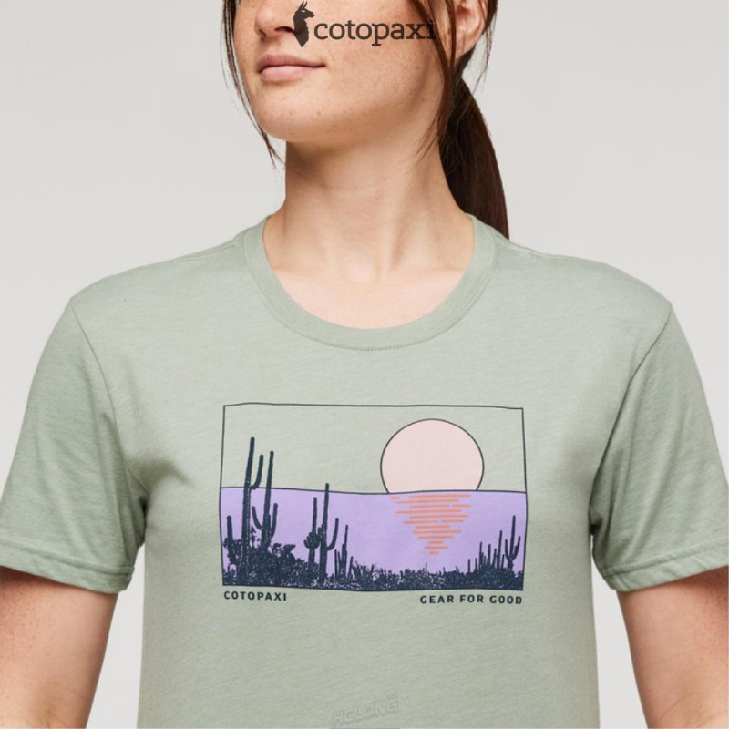 Cotopaxi Desert View T-Shirt Silver Leaf | WM98-V9-XW