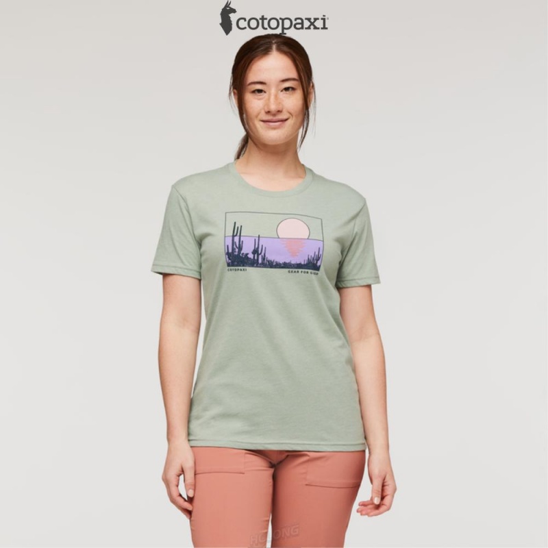 Cotopaxi Desert View T-Shirt Silver Leaf | WM98-V9-XW