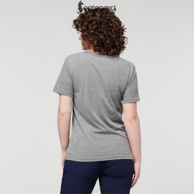 Cotopaxi Disco Wave T-Shirt Heather Grey | HU50-Q5-GT