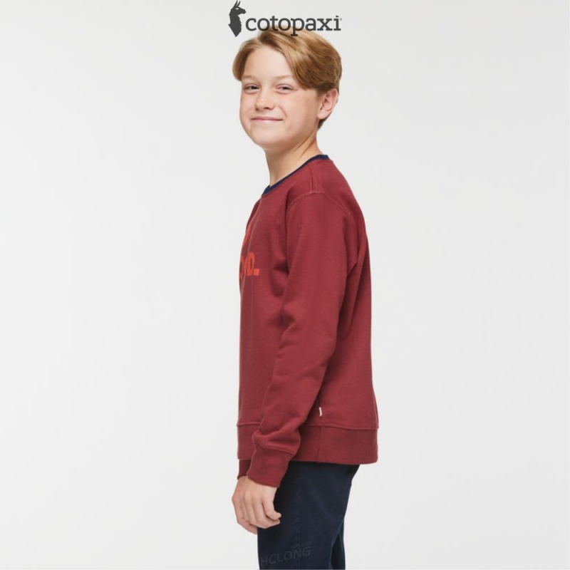 Cotopaxi Do Good Crew Sweatshirt Burgundy | WU18-M8-RN