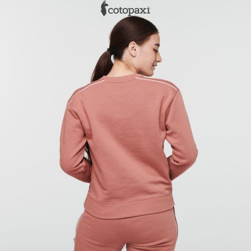 Cotopaxi Do Good Crew Sweatshirt Burgundy | QO23-G6-TF