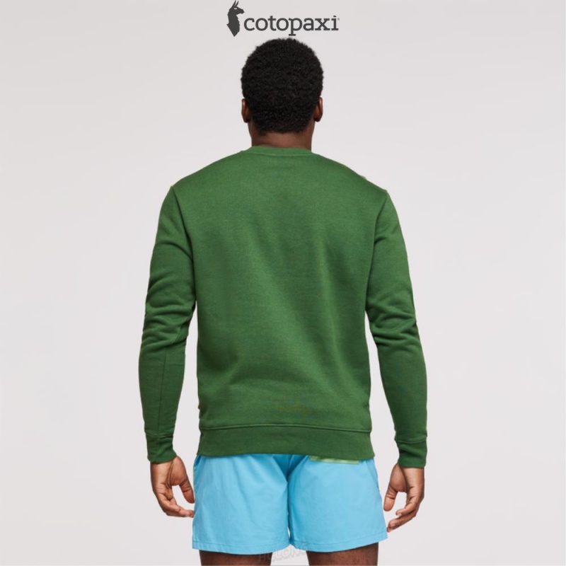 Cotopaxi Do Good Crew Sweatshirt Forest | EX97-U6-FX