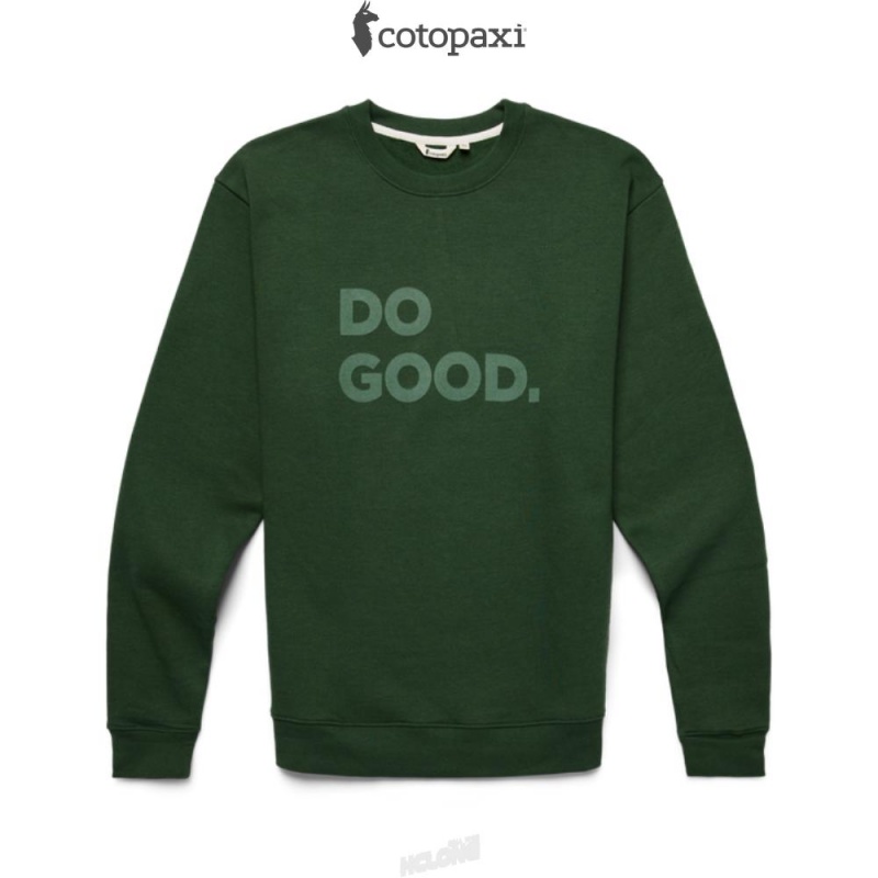 Cotopaxi Do Good Crew Sweatshirt Forest | EX97-U6-FX