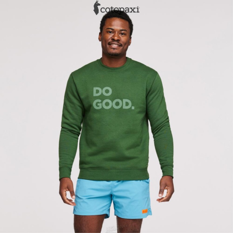 Cotopaxi Do Good Crew Sweatshirt Forest | EX97-U6-FX