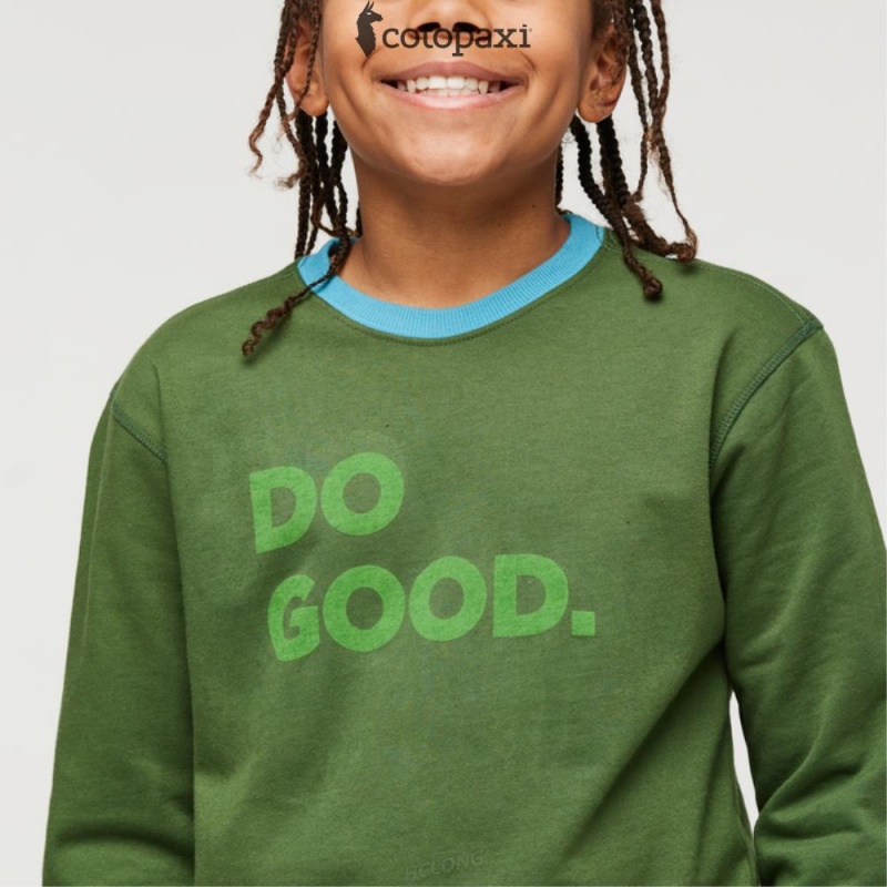 Cotopaxi Do Good Crew Sweatshirt Forest | QZ80-A0-JV