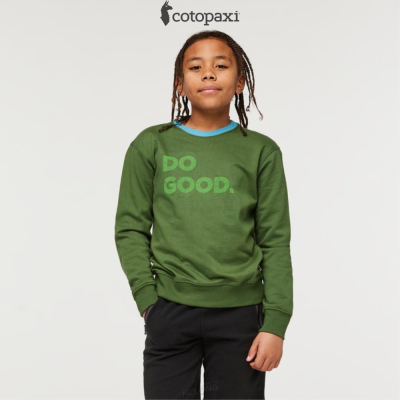 Cotopaxi Do Good Crew Sweatshirt Forest | QZ80-A0-JV