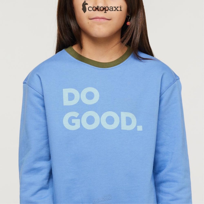 Cotopaxi Do Good Crew Sweatshirt Lupine | PH45-N1-PH