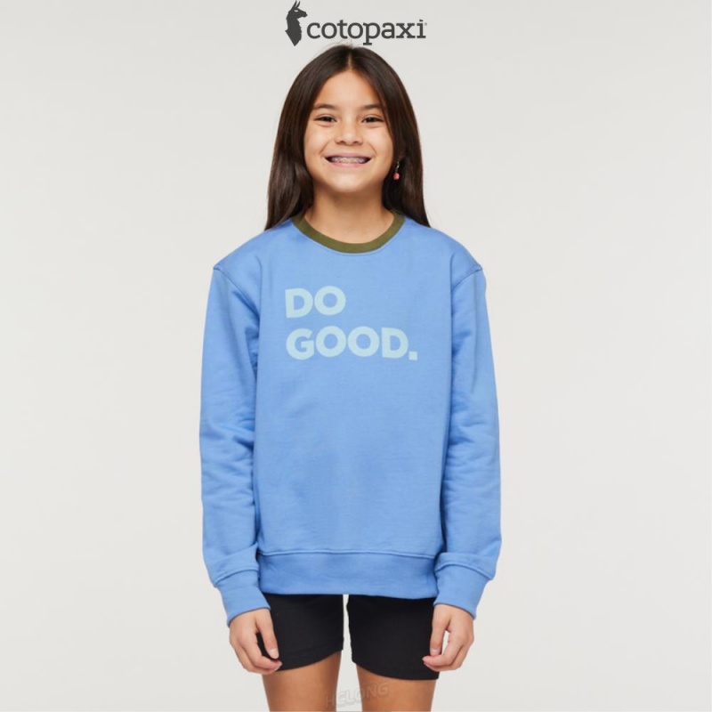 Cotopaxi Do Good Crew Sweatshirt Lupine | PH45-N1-PH