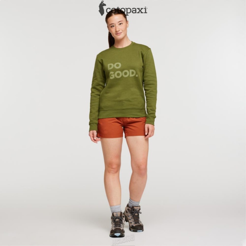 Cotopaxi Do Good Crew Sweatshirt Pine | UJ66-N7-MJ