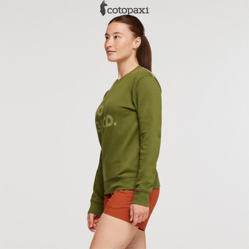 Cotopaxi Do Good Crew Sweatshirt Pine | UJ66-N7-MJ