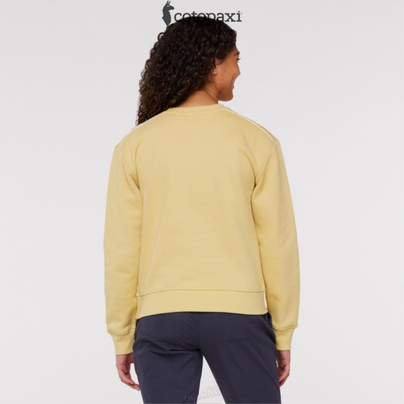 Cotopaxi Do Good Crew Sweatshirt Wheat | UO06-L1-UJ