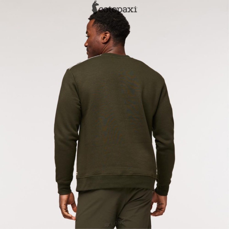 Cotopaxi Do Good Crew Sweatshirt Woods | PJ25-D4-RU