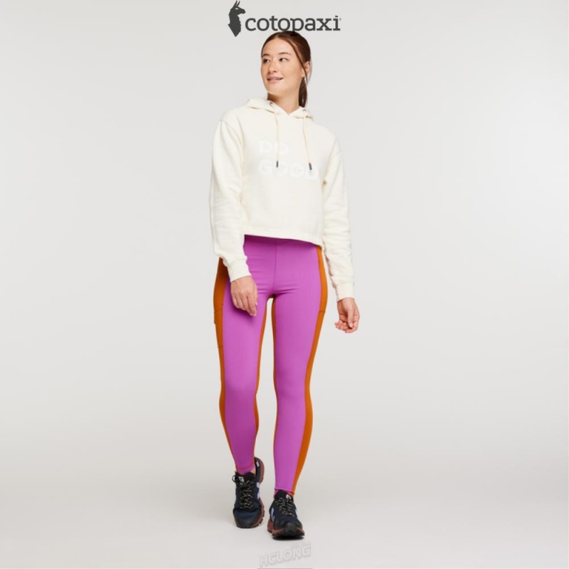 Cotopaxi Do Good Crop Sweatshirt Bone | QC53-K3-LU