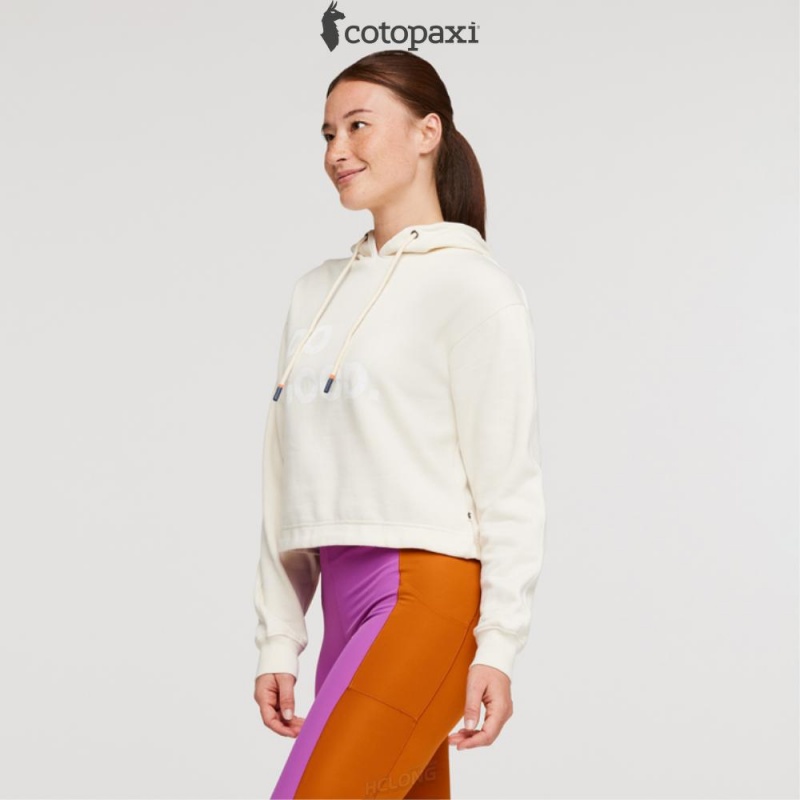 Cotopaxi Do Good Crop Sweatshirt Bone | QC53-K3-LU