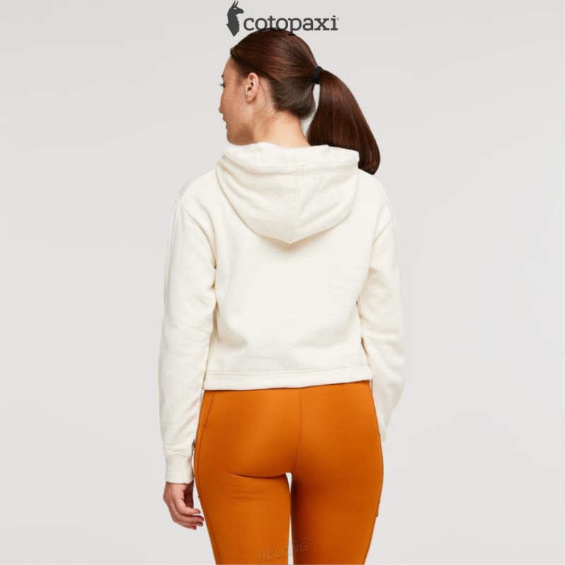 Cotopaxi Do Good Crop Sweatshirt Bone | TE82-Q0-KO