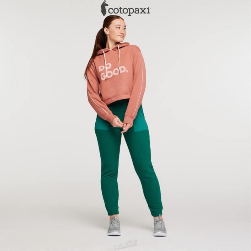 Cotopaxi Do Good Crop Sweatshirt Earthen | OB12-E7-GL