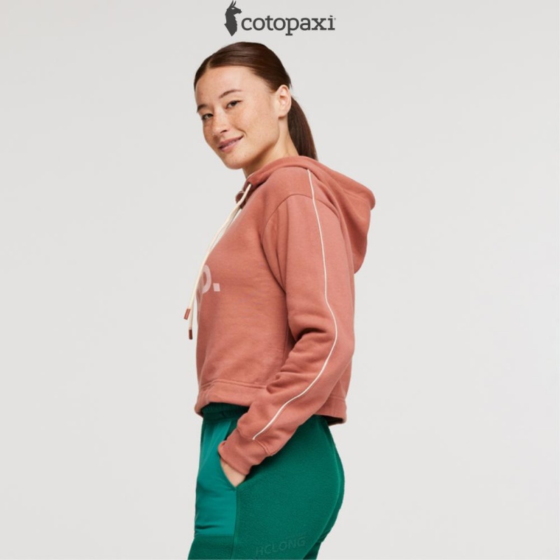 Cotopaxi Do Good Crop Sweatshirt Earthen | OB12-E7-GL