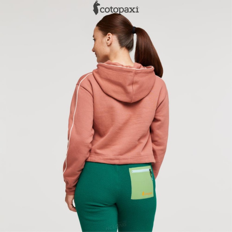 Cotopaxi Do Good Crop Sweatshirt Earthen | OB12-E7-GL