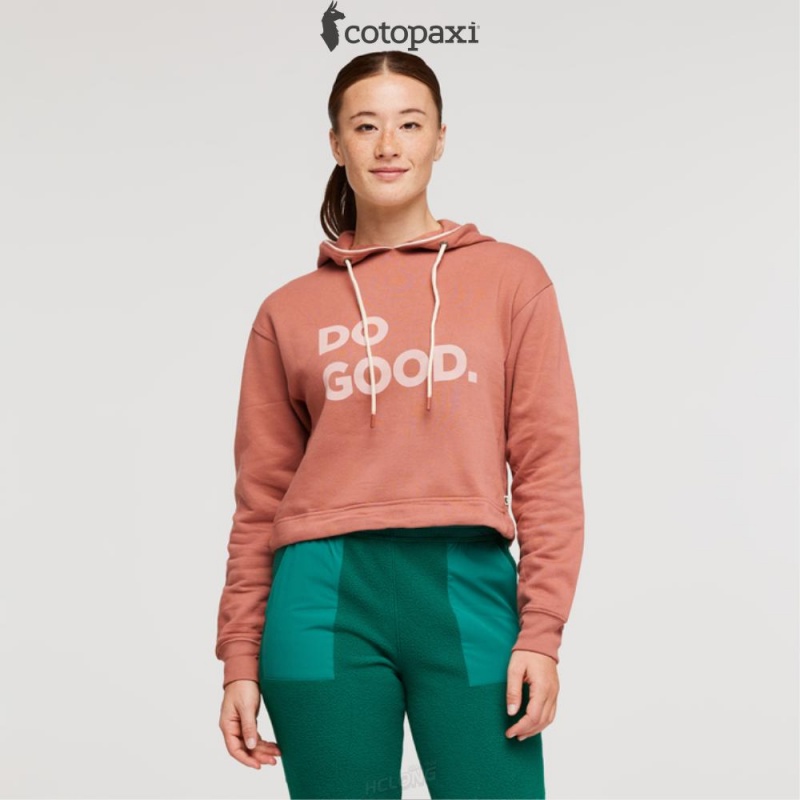 Cotopaxi Do Good Crop Sweatshirt Earthen | OB12-E7-GL