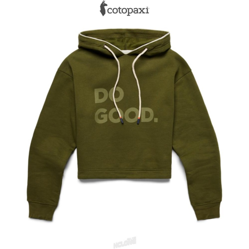 Cotopaxi Do Good Crop Sweatshirt Pine | BD02-P4-LG